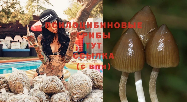 apvp Арсеньев