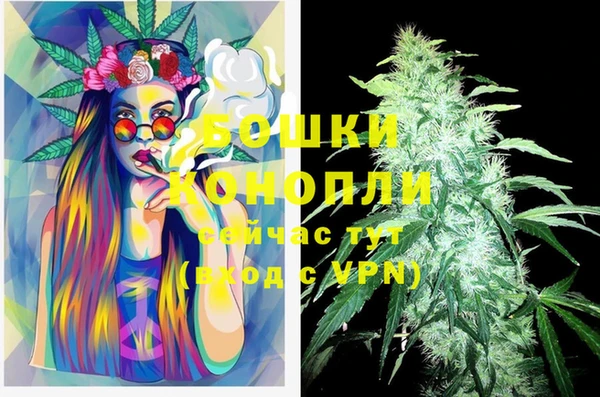 гидропоника Аркадак